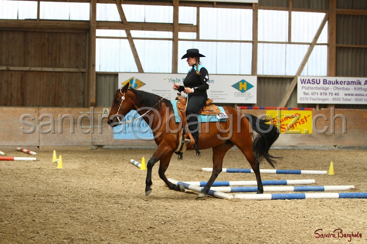 28-ApHC OT_338.jpg